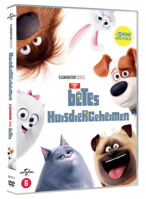 Animation - Secret Life Of Pets (DVD)