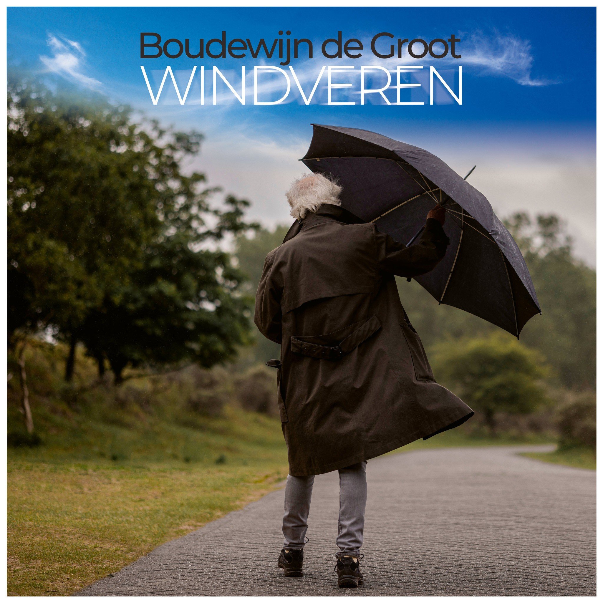 Boudewijn de Groot - Windveren (LP)