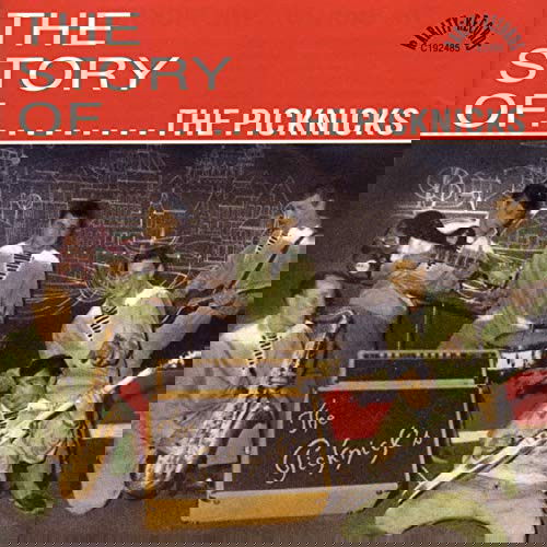 The Picknicks - The Story Of... (CD)