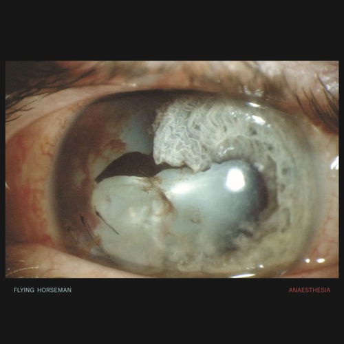 Flying Horseman - Anaesthesia -Coloured Vinyl- (LP)