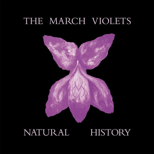 The March Violets - Natural History (Purple vinyl) RSD26 (LP)