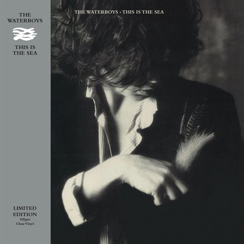 The Waterboys - This Is The Sea (LP)