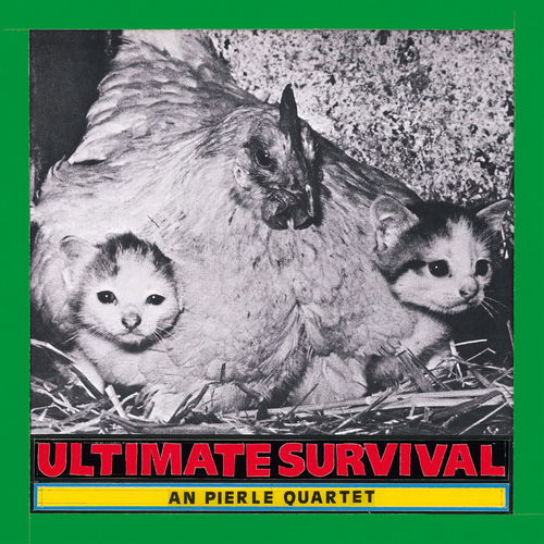 An Pierlé Quartet - Ultimate Survival (LP+CD) (LP)