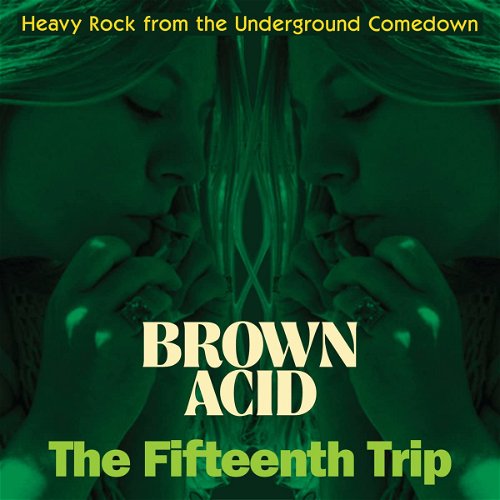 Various - Brown Acid: The Fifteenth Trip (LP)