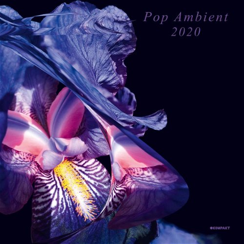 Various - Pop Ambient 2020 (Deluxe) - 2LP