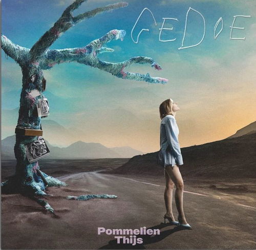 Pommelien Thijs - Gedoe (LP)