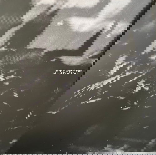 Stikstof - Stikstof (LP)