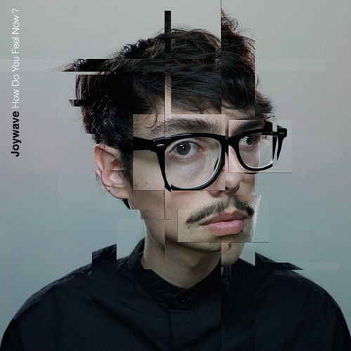 Joywave - How Do You Feel Now? RSD25 (LP)