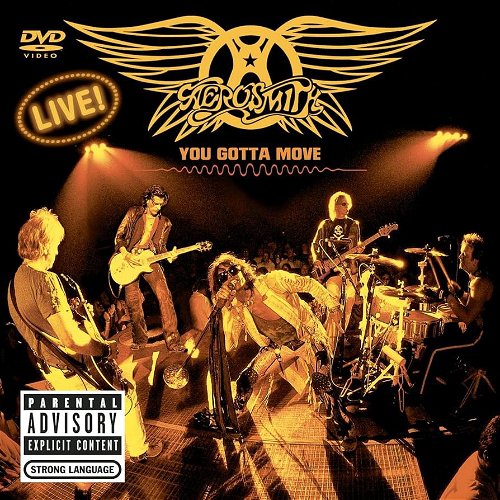 Aerosmith - You Gotta Move (DVD)