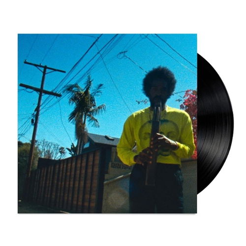 Andre 3000 - Moving Day (LP)
