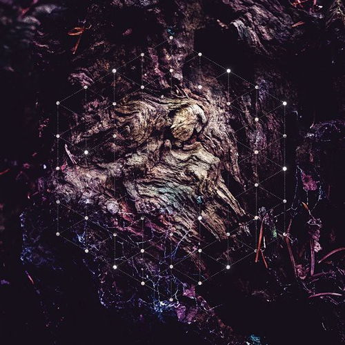 Psychonaut - Unfold The God Man (CD)