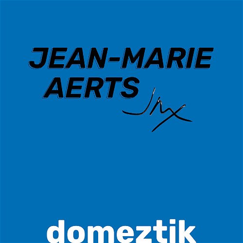 Jean-Marie Aerts - Domeztik (LP)
