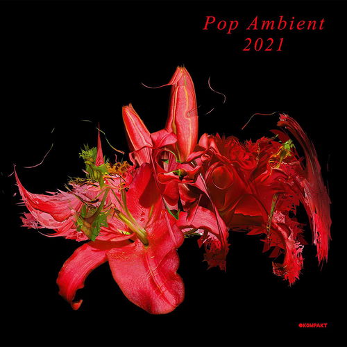 Various - Pop Ambient 2021 BF20 (LP)