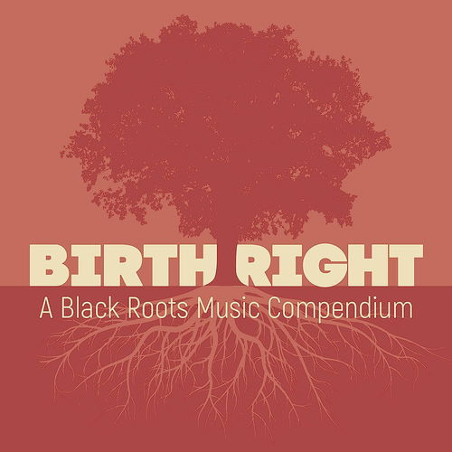 Various - Birthright: A Black Roots Music Compendium (CD)