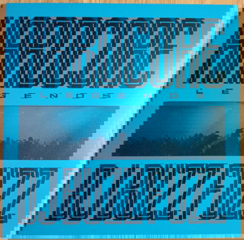 DJ Buzz Fuzz - Hardcore Legends (LP)