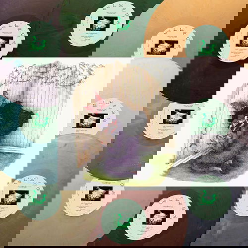 Wednesday - Bleeds (LP)