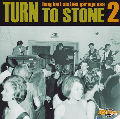 Various - Turn To Stone 2 (LP)