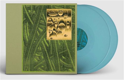 De Beren Gieren - Less Is Endless (Turquoise vinyl) - 2LP (LP)