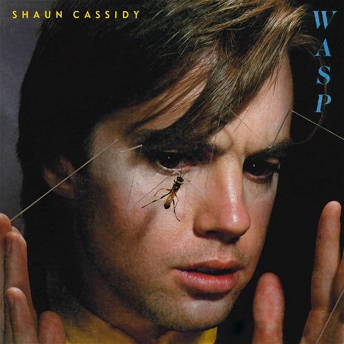 Shaun Cassidy - Wasp RSD21 (LP)