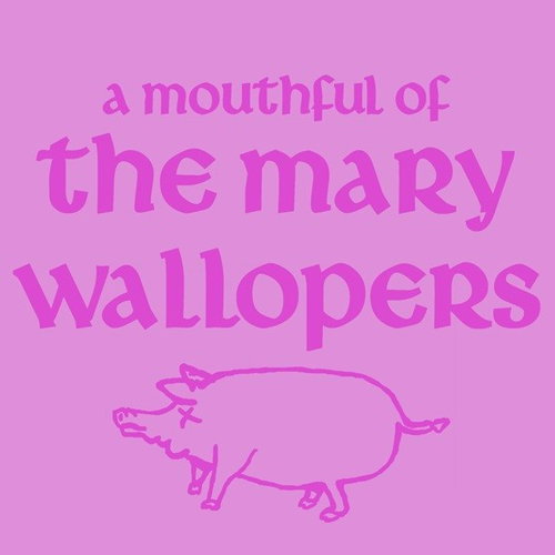 The Mary Wallopers - A Mouthful Of The Mary Wallopers RSD26 (MV)