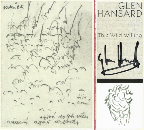 Glen Hansard - This Wild Willing (CD)