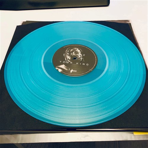 Slipknot - We Are Not Your Kind (Blue Vinyl) - 2LP (LP)