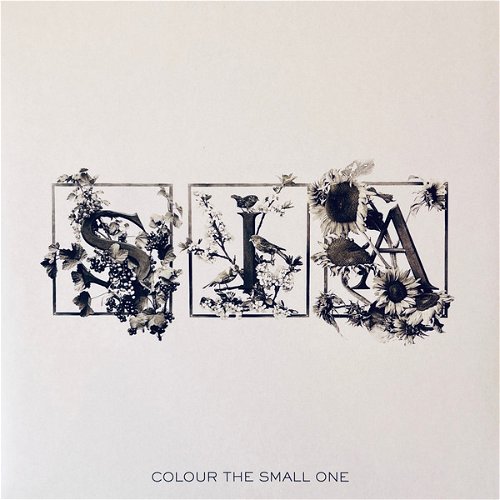 Sia - Colour The Small One RSD24 (LP)