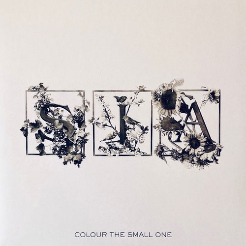 Sia - Colour The Small One RSD24 (LP)