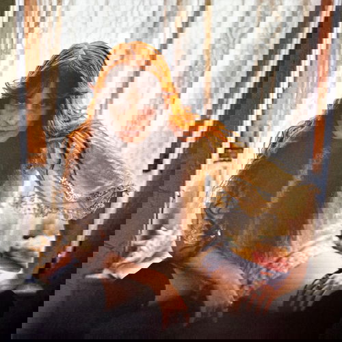 Florence + The Machine - Everybody Scream (Dead Bluebell Edition) (LP)