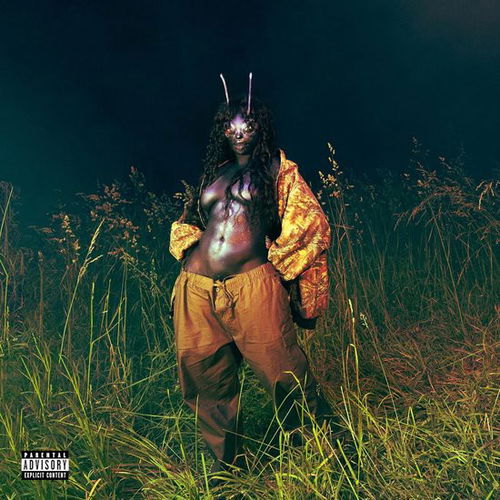 SZA - SOS Deluxe: Lana (LP)