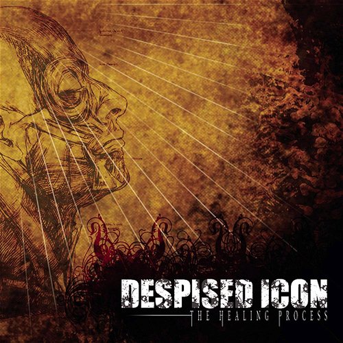 Despised Icon - The Healing Process (LP)