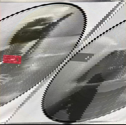 Louis Tomlinson - Louis Tomlinson: Live - Picture disc - 2LP (LP)