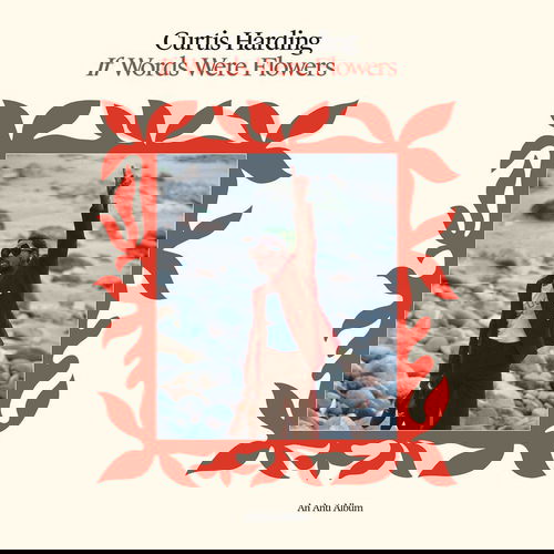 Curtis Harding - If Words Were Flowers - Tijdelijk Goedkoper (LP)