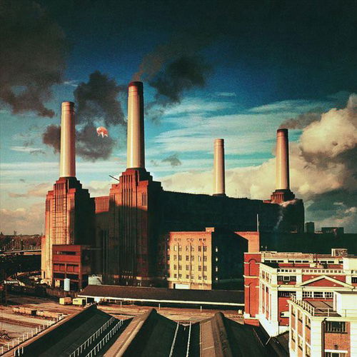 Pink Floyd - Animals (LP)