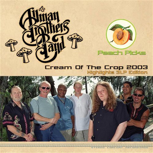 Allman Brothers Band - Cream Of The Crop 2003 (Coloured vinyl) - 3LP - RSD22 (LP)