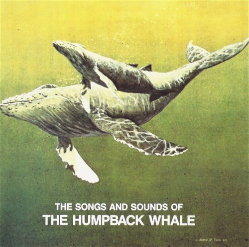 Various- Songs And Sounds Of The Humpback Whale (CD)