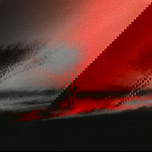 Joji - Piss In The Wind (CD)