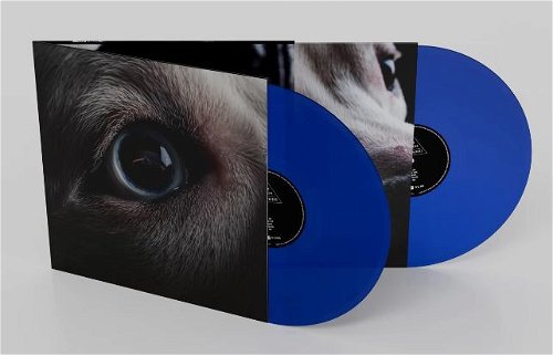 Roger Waters - Dark Side Of The Moon Redux (Blue Vinyl - Indie Only) (LP)