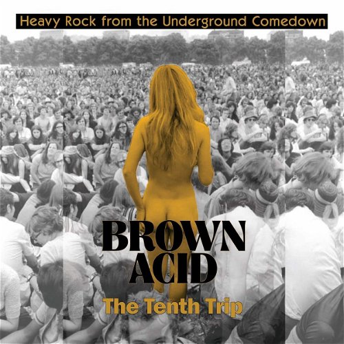 Various - Brown Acid: The Tenth Trip (LP)