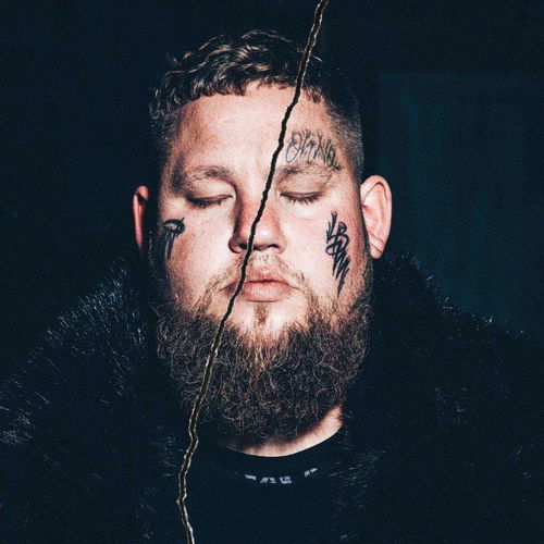 Rag'n' Bone Man - Life By Misadventure (CD)