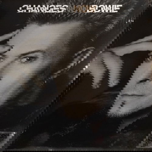 David Bowie - Changesnowbowie (LP)