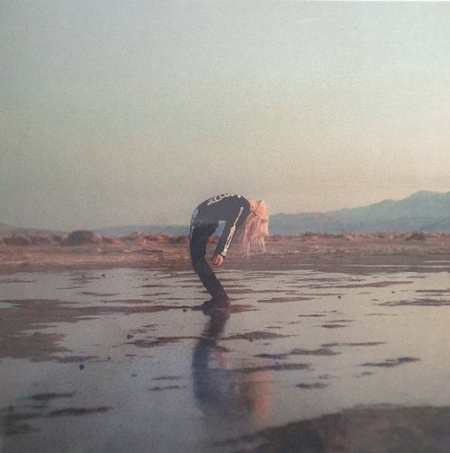 Phoebe Bridgers & Rob Moose - Copycat Killer (MV)
