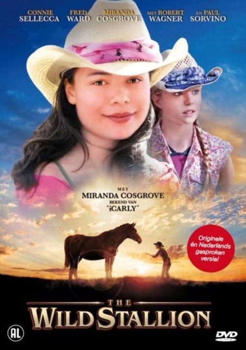 Film - The Wild Stallion (DVD)