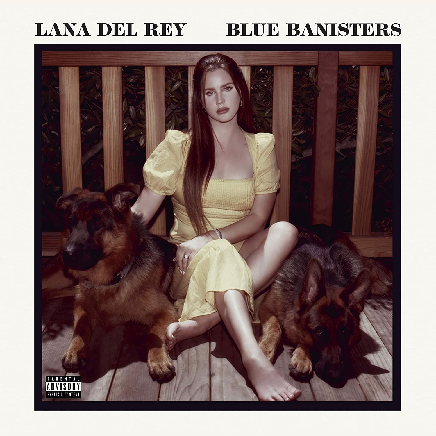 Lana Del Rey - Blue Banisters - 2LP (LP)