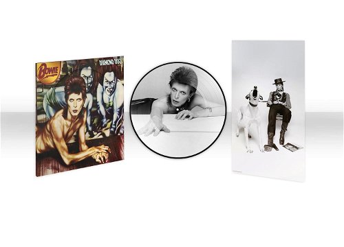 David Bowie - Diamond Dogs (Picture Disc) - 50th anniversary (LP)