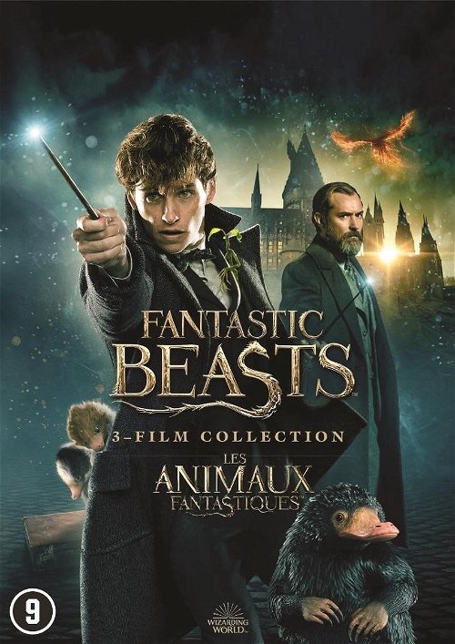 Film - Fantastic Beasts 1-3 (DVD)