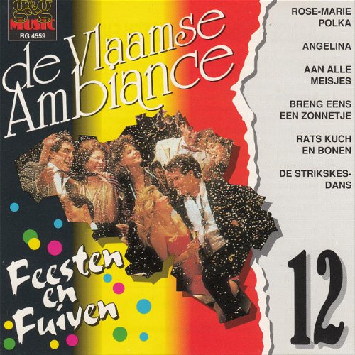 Various - Vlaamse Ambiance 12 (CD)