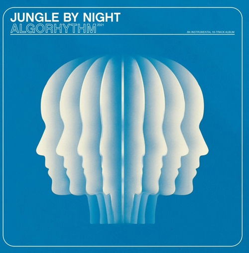 Jungle By Night - Algorhythm (LP)