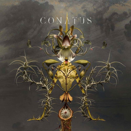 Joep Beving - Conatus (CD)