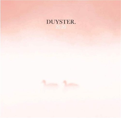Various - Duyster 2020 (Marble Coloured) - ! Persing januari 2021 - 2LP (LP)